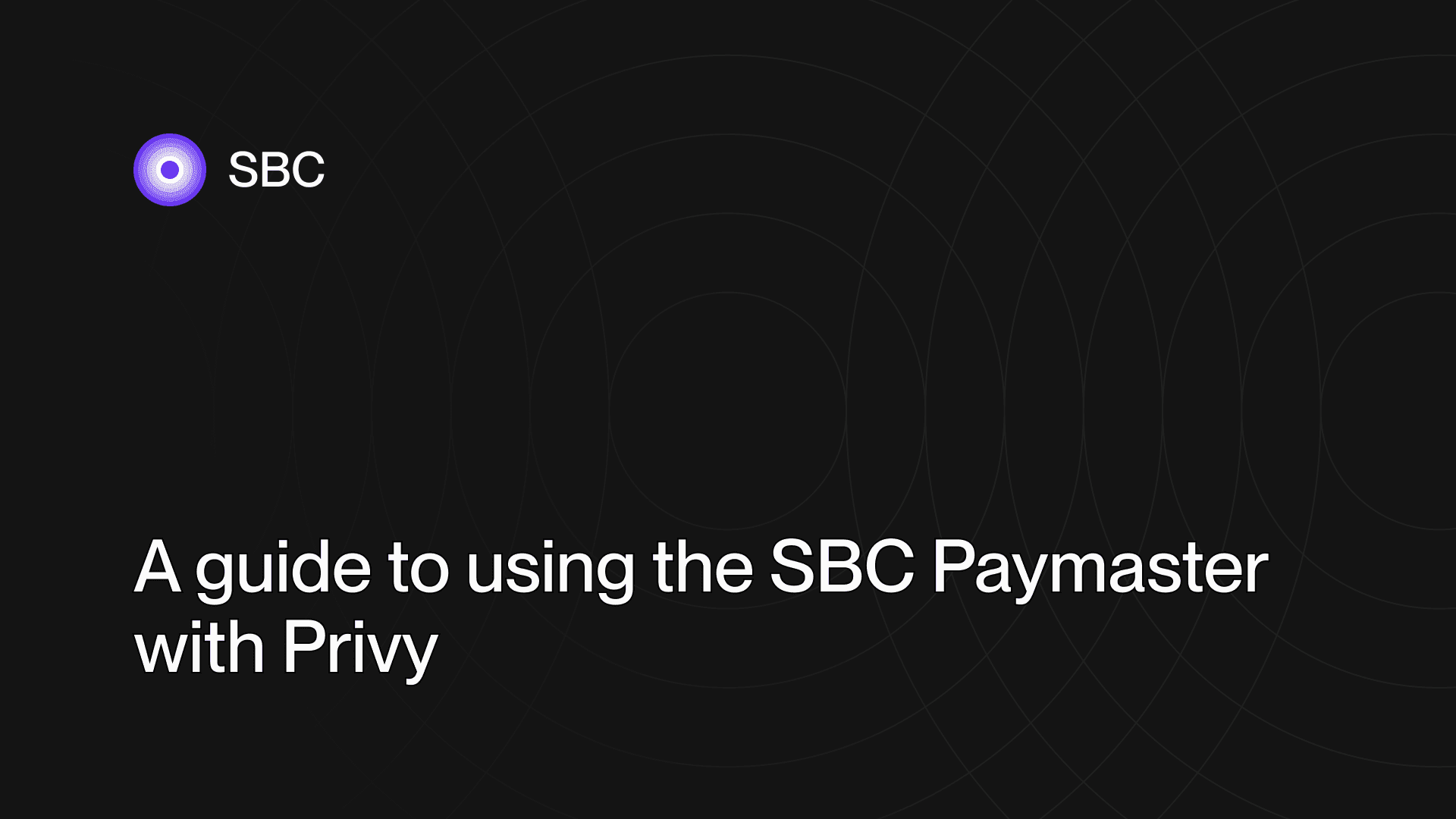 Banner image for A guide to using the SBC Paymaster with Privy